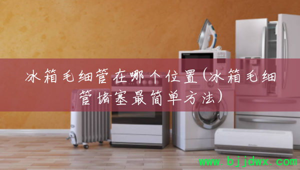 ����ëϸ�����ĸ�λ��(����ëϸ�ܶ�����򵥷���)