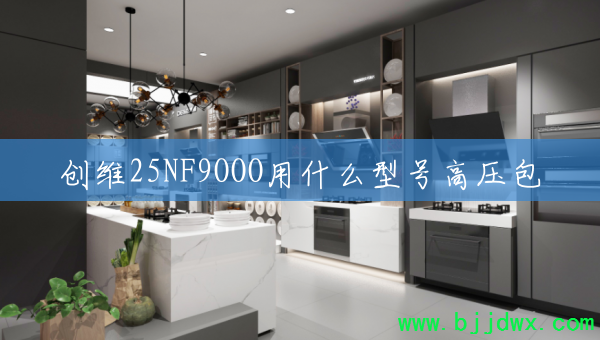 ��ά25NF9OOO��ʲô�ͺŸ�ѹ��