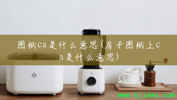 ͼֽca��ʲô��˼(����ͼֽ��ca��ʲô��˼)