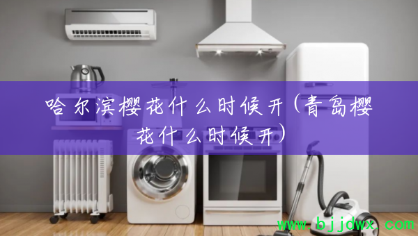 ������ӣ��ʲôʱ��(�ൺӣ��ʲôʱ��)