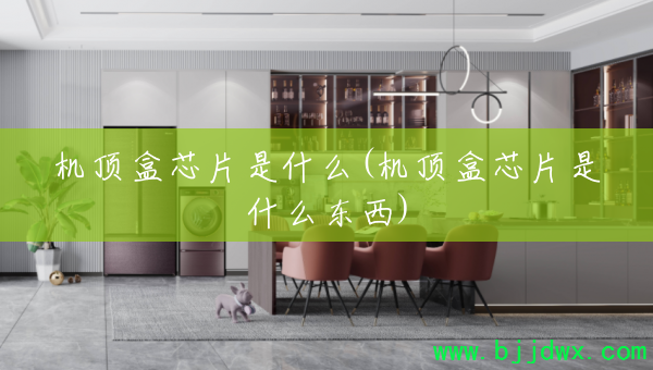 ������оƬ��ʲô(������оƬ��ʲô����)