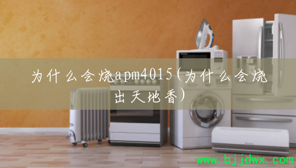 Ϊʲô����apm4015(Ϊʲô���ճ������)