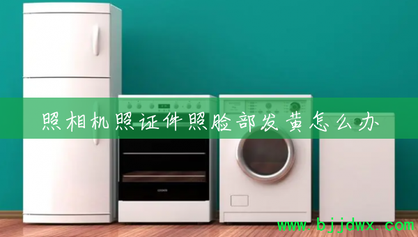 �������֤��������������ô��