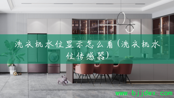 ϴ�»�ˮλ��ʾ��ô��(ϴ�»�ˮλ������)