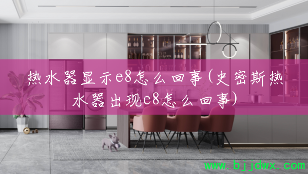 ��ˮ����ʾe8��ô����(ʷ��˹��ˮ������e8��ô����)