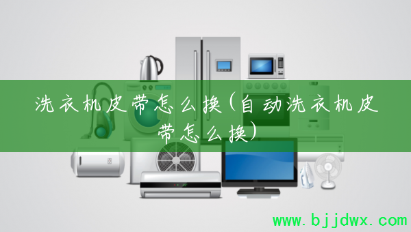 ϴ�»�Ƥ����ô��(�Զ�ϴ�»�Ƥ����ô��)