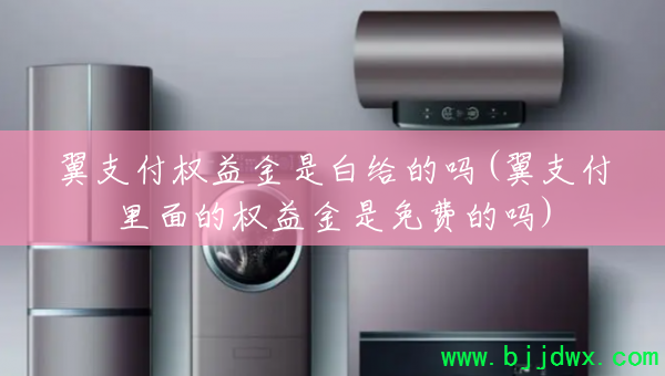 ��֧��Ȩ����ǰ׸�����(��֧�������Ȩ�������ѵ���)