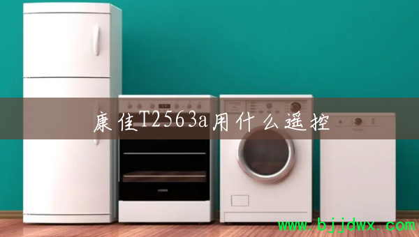 ����T2563a��ʲôң��