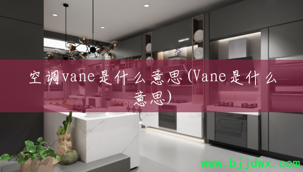 �յ�vane��ʲô��˼(Vane��ʲô��˼)
