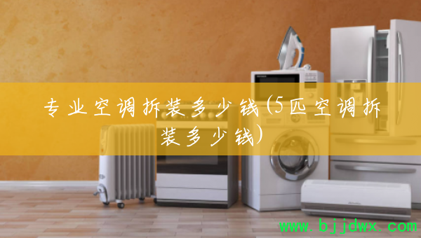 רҵ�յ���װ����Ǯ(5ƥ�յ���װ����Ǯ)