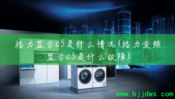 ������ʾc5��ʲô���(������Ƶ��ʾc5��ʲô����)