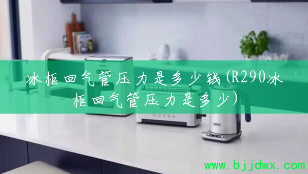 ���������ѹ���Ƕ���Ǯ(R290���������ѹ���Ƕ���)