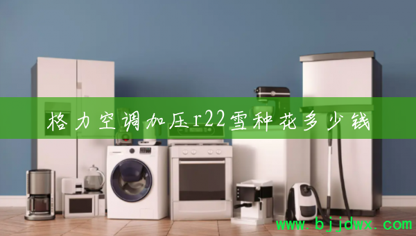 �����յ���ѹr22ѩ�ֻ�����Ǯ