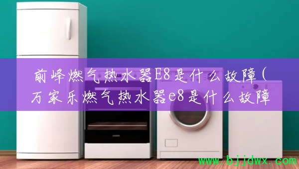 ǰ��ȼ����ˮ��E8��ʲô����(�����ȼ����ˮ��e8��ʲô����)