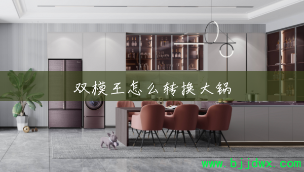 ˫ģ����ôת�����