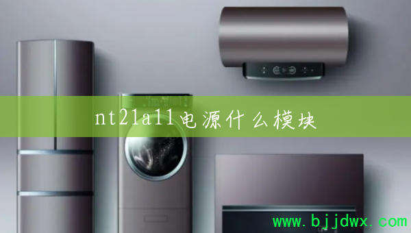 nt21a11��Դʲôģ��