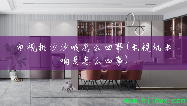 ���ӻ�ɳɳ����ô����(���ӻ���������ô����)