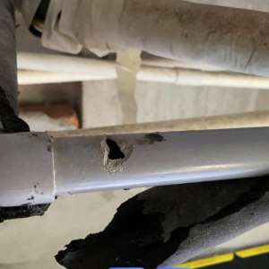 �յ���η�ֹ������ҧ�ϵ���