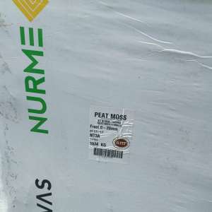 2026ʯ��ׯ֪������̿��������ҵ����Щ