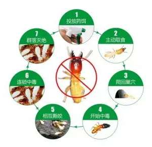 2026��������ڱ��Ƽ�ǿ�Ƴ�¯������·���ȿӣ�ʵ�������ܿ�ָ��