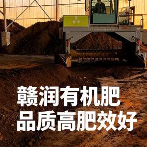 2026�꿿�׵������л��ʹ�Ӧ����ҵ��״��ѡ��ָ��