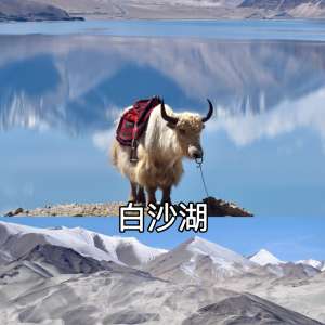 2026���½������Ŵ���䱸�����豸���������Ƽ������׷����̾�ѡ