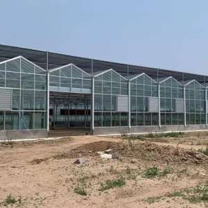 �ڷ����ҹ�˾���ܣ��������ҹ�Ӧ�̷�չ��״���г�ռ���ʼ������о���������